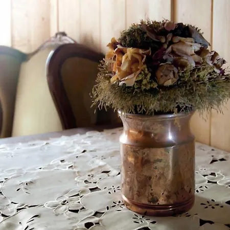 水彩画住宿加早餐酒店 住宿加早餐酒店